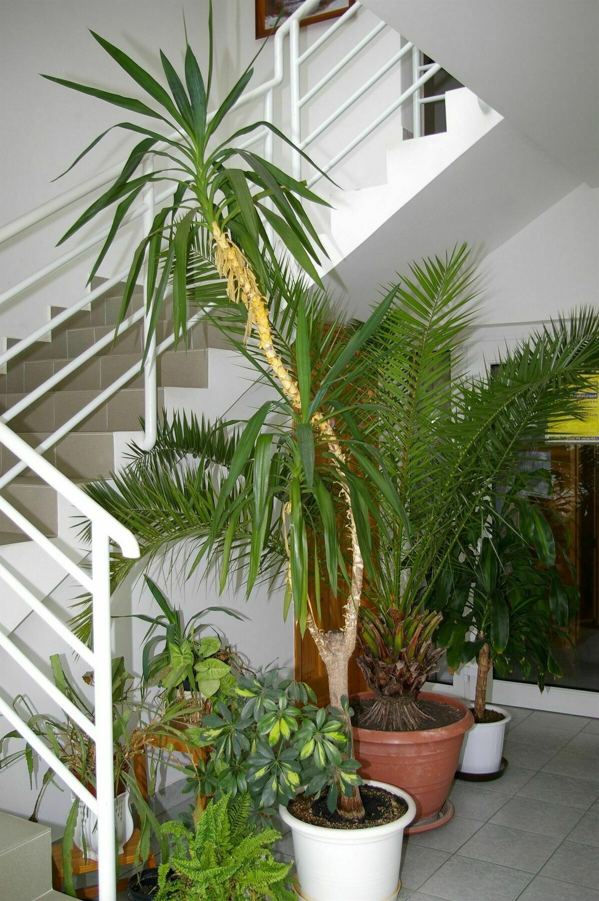 שיופוק Arizona Apartman מראה חיצוני תמונה